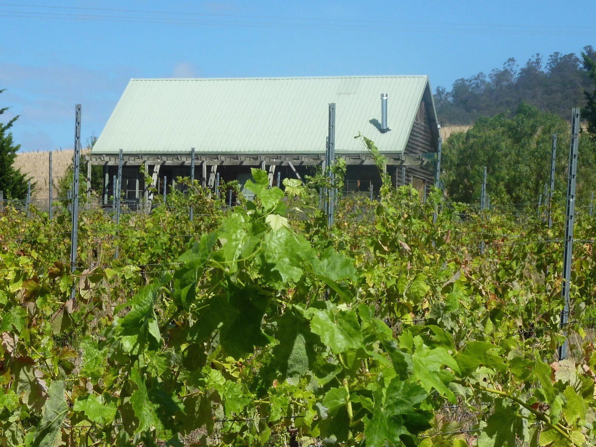 Charles Reuben Estate Guest House Hobart Exterior foto